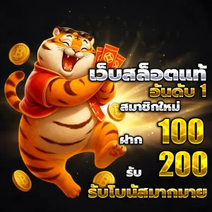 สล็อต ruaydaily
